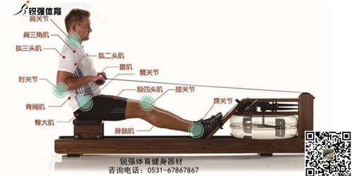 划船机和乐鱼·体育（中国）官方网站-LEYU SPORTS
哪个锻炼更有效